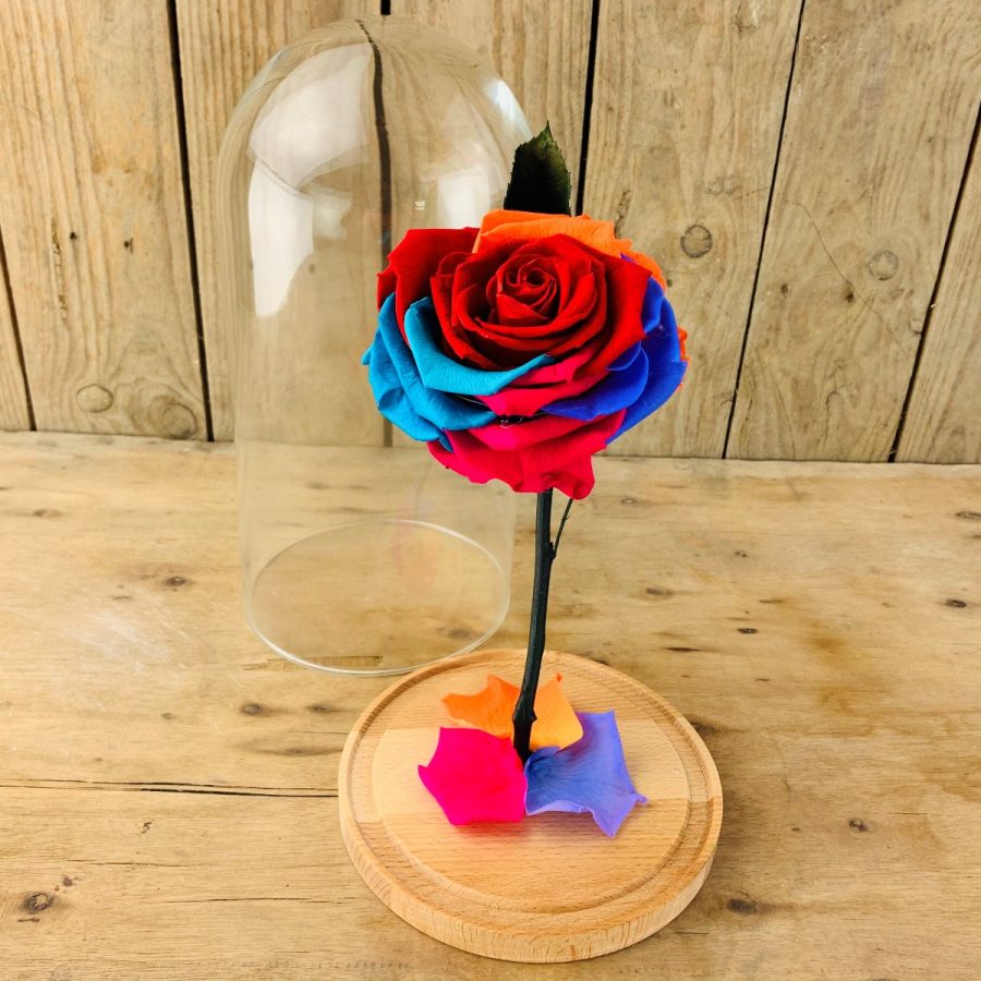 Cúpula Rosa Multicolor de San Valentín